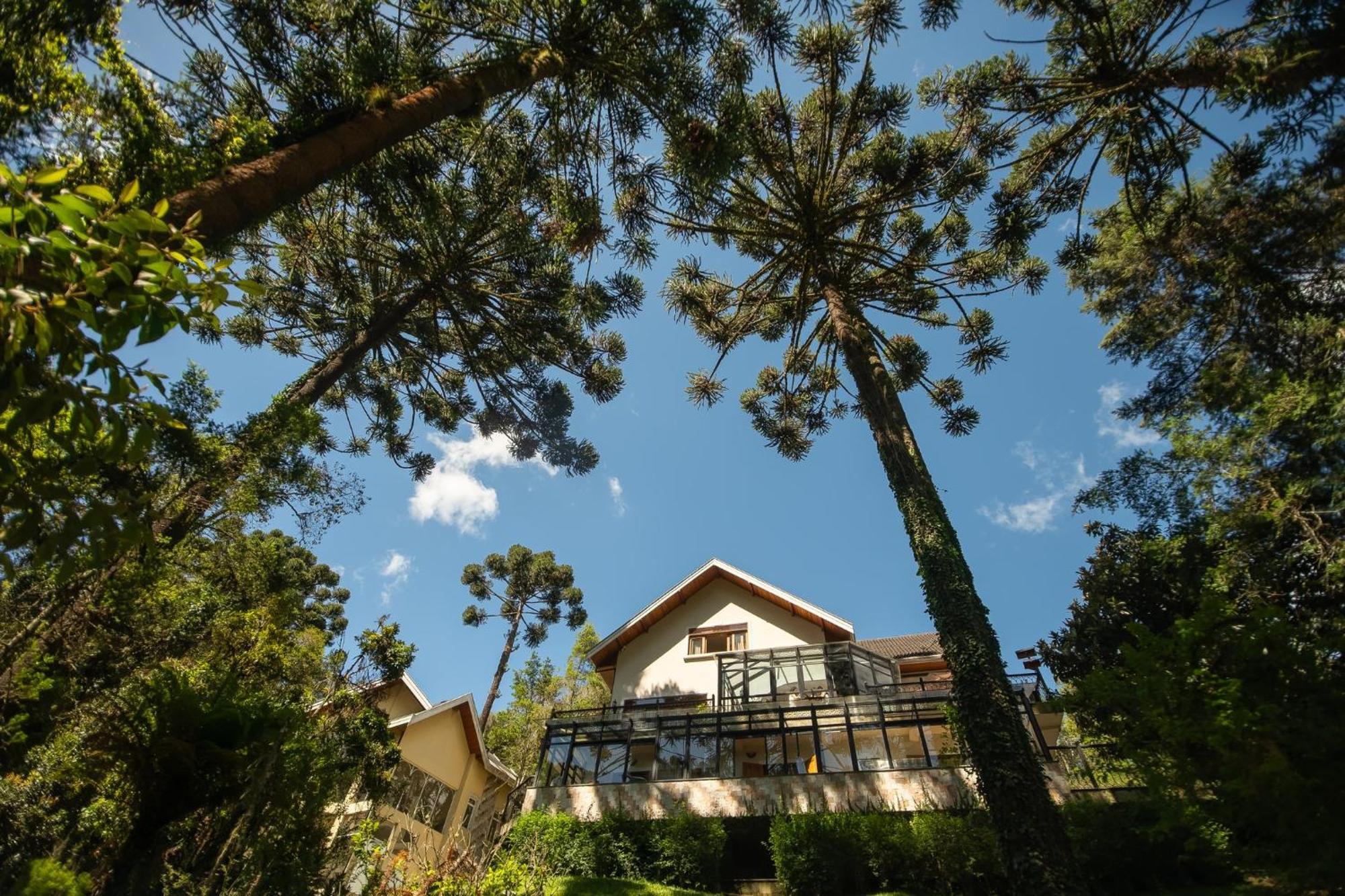 Araucaria Lodge Campos do Jordão Екстериор снимка